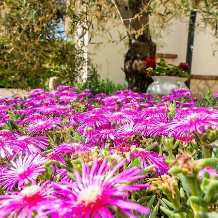 Lara With Pool&whirpool&pet Friendly&100m From The Sea- Rab By Guide Villa Rab Town